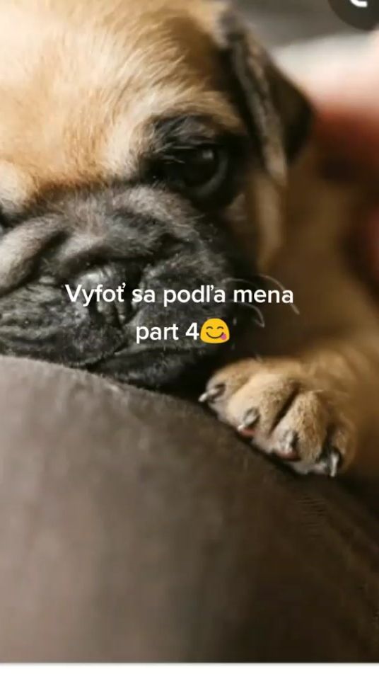 TikTok video thumbnail by ...chaddixon