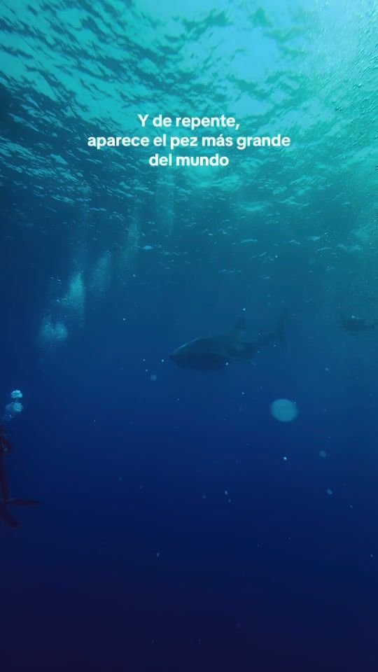 TikTok video thumbnail by mariabarbena