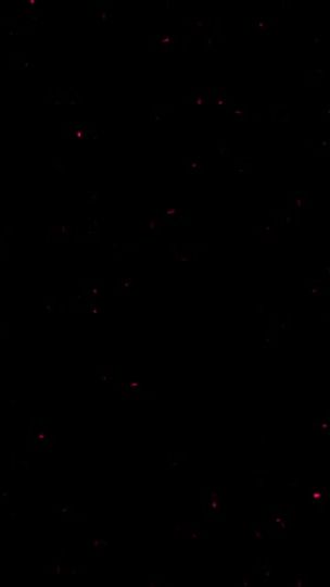 TikTok video thumbnail by bloom__music__