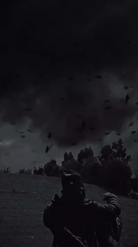 TikTok video thumbnail by badro_zenati