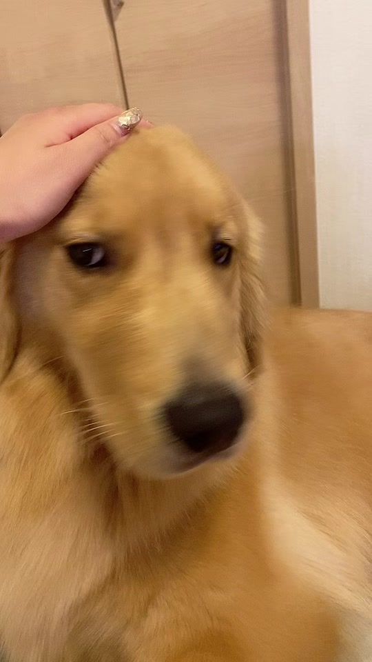 TikTok video thumbnail by ruuui1015