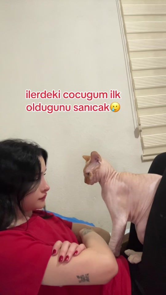 TikTok video thumbnail by lol.ilayda