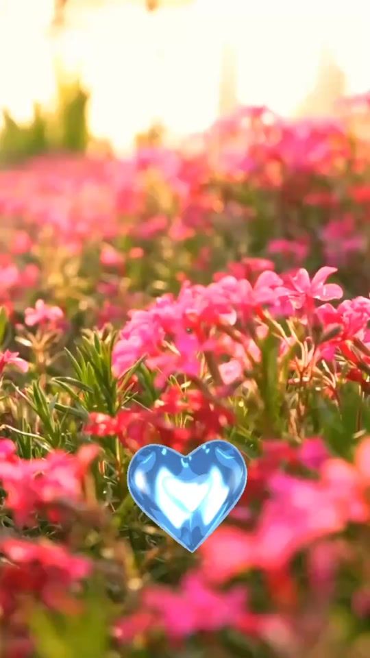 TikTok video thumbnail by liuda_mi