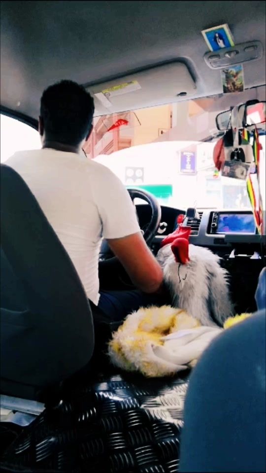 TikTok video thumbnail by ephremhailu