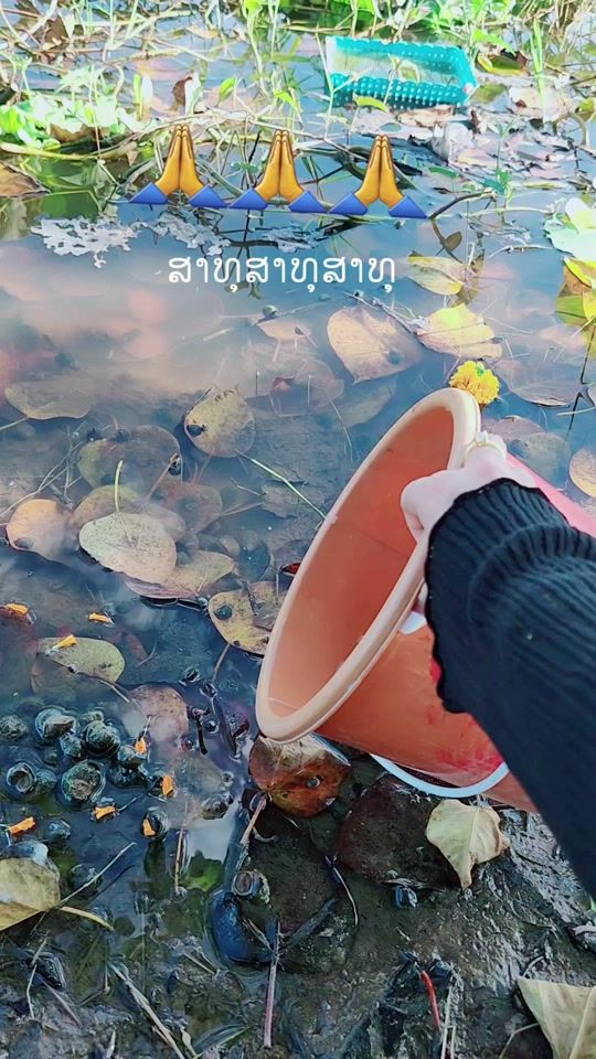 TikTok video thumbnail by papakeyla5