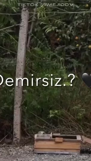 TikTok video thumbnail by sss_q.s.s.s.s.t__888