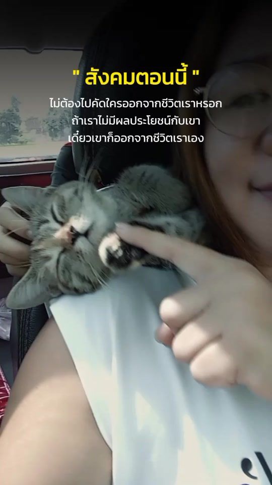 TikTok video thumbnail by user8255497881833
