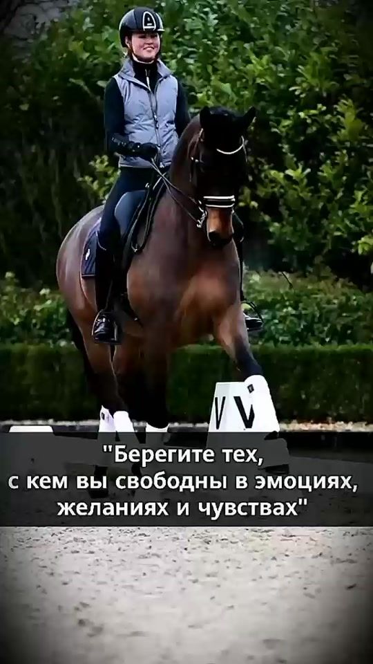 TikTok video thumbnail by horse_wrong_off