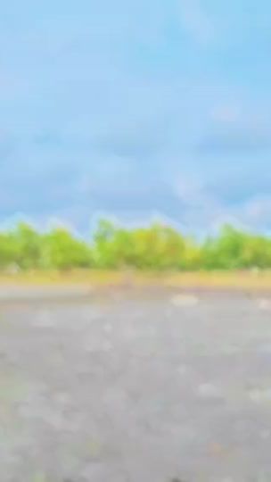 TikTok video thumbnail by _joy052