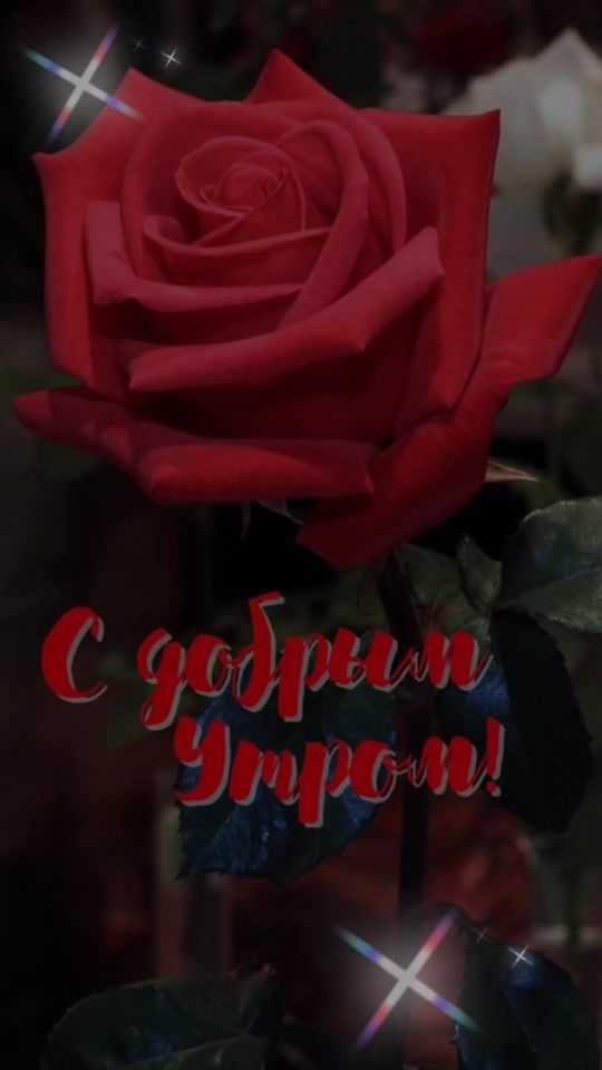 TikTok video thumbnail by irina_rebrova
