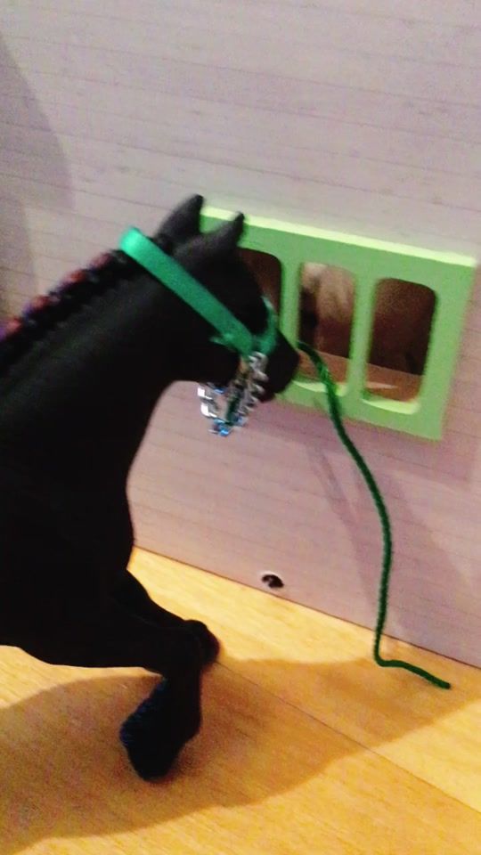 TikTok video thumbnail by schleich_meloen