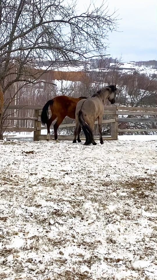 TikTok video thumbnail by kirilowa.olga