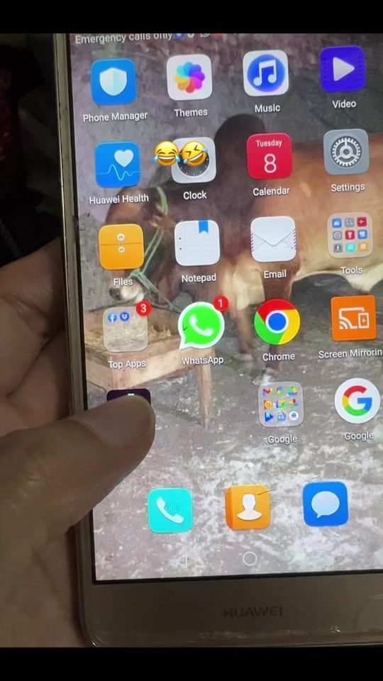 TikTok video thumbnail by dimple.queen726