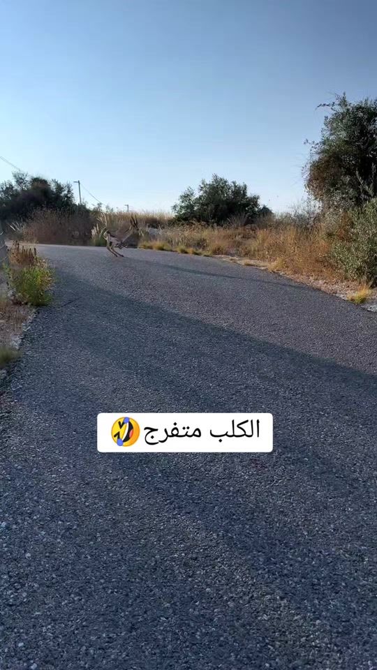 TikTok video thumbnail by jaado33