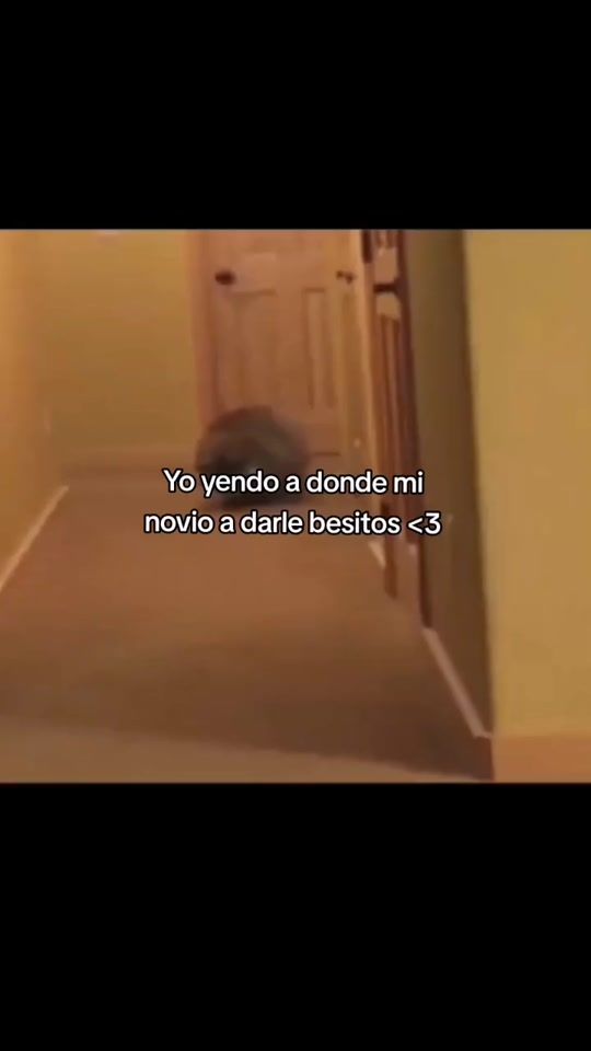 TikTok video thumbnail by kittymamada3._