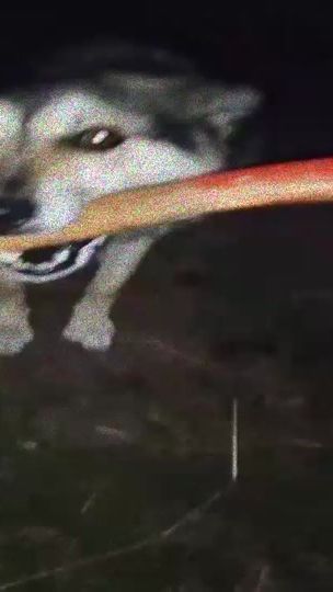 TikTok video thumbnail by rizerdkilla