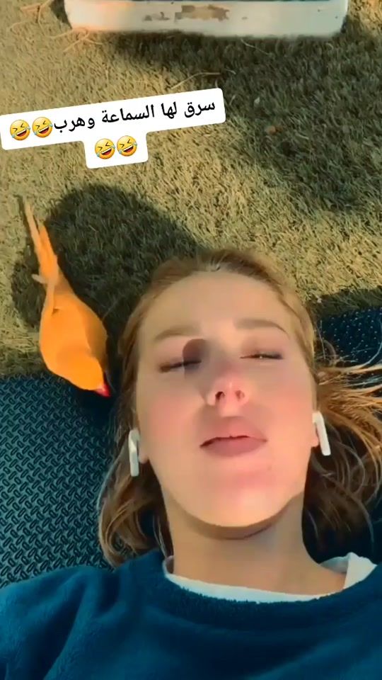 TikTok video thumbnail by mohtariftoyour