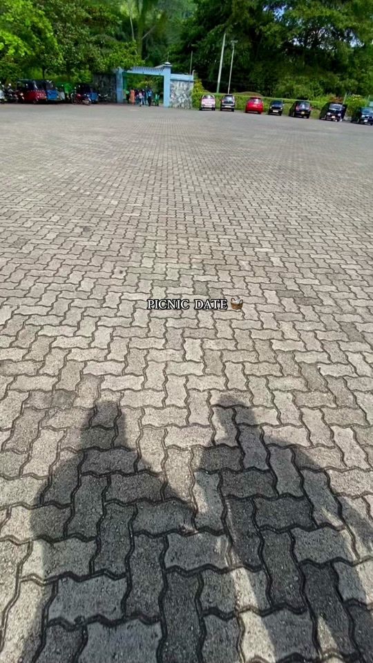 TikTok video thumbnail by buddhinisandali