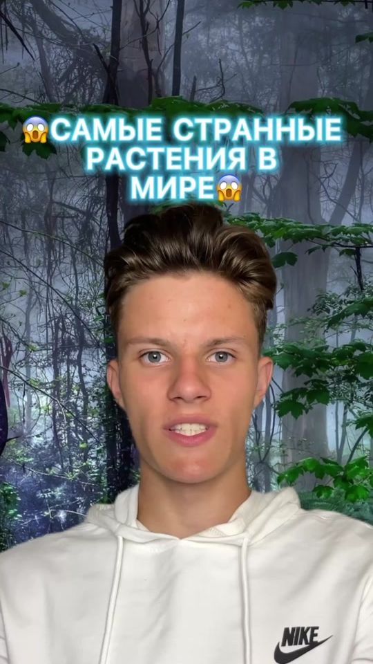TikTok video thumbnail by grom4ik1212