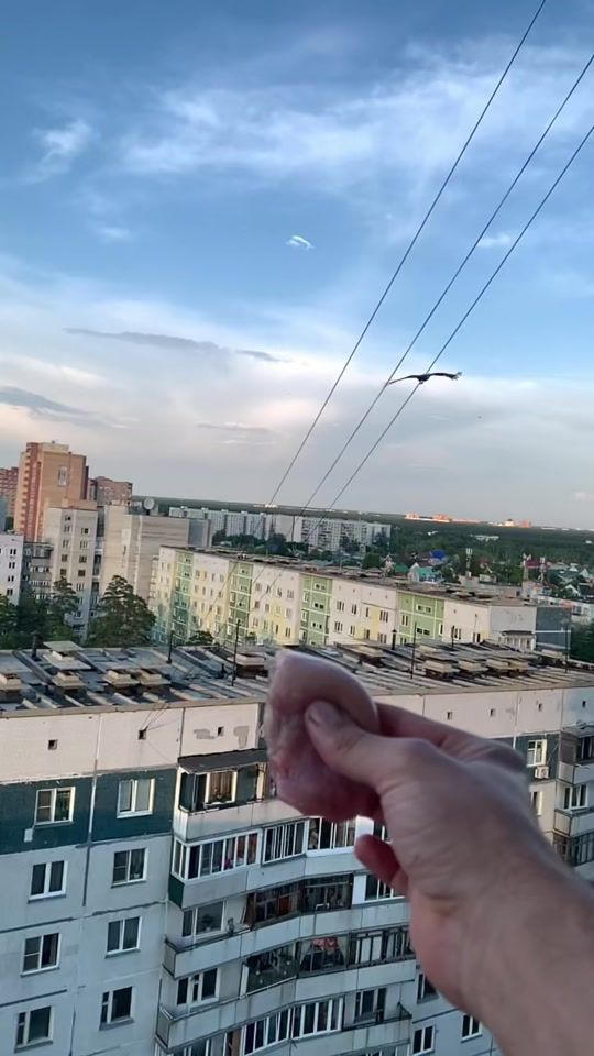 TikTok video thumbnail by nikolaybelozerov