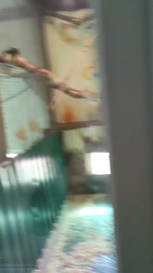 TikTok video thumbnail by ficopesca29