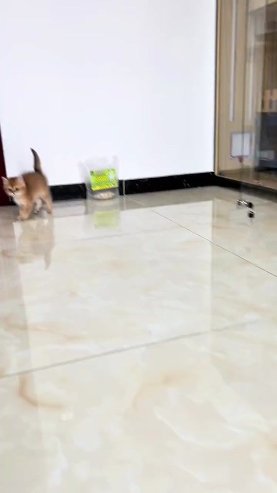 TikTok video thumbnail by palacesales