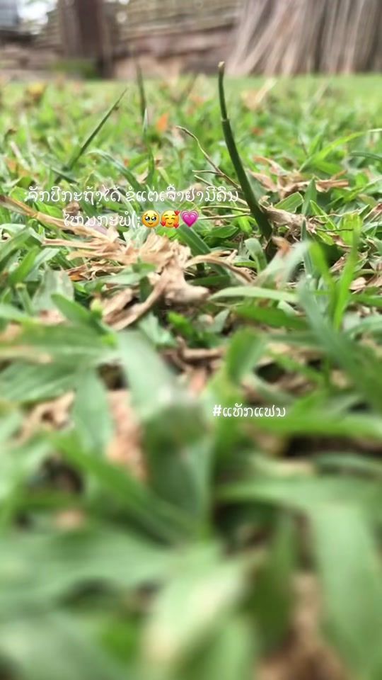 TikTok video thumbnail by palinya30
