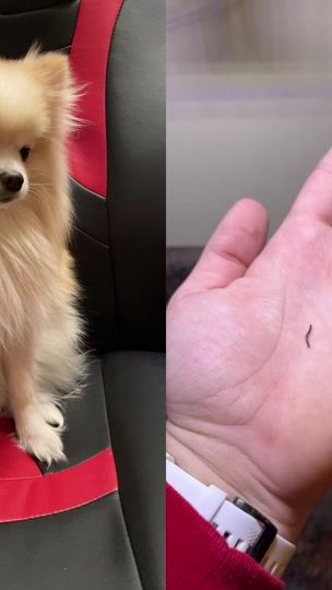 TikTok video thumbnail by karina.rus222