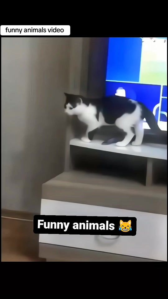 TikTok video thumbnail by grow.king75