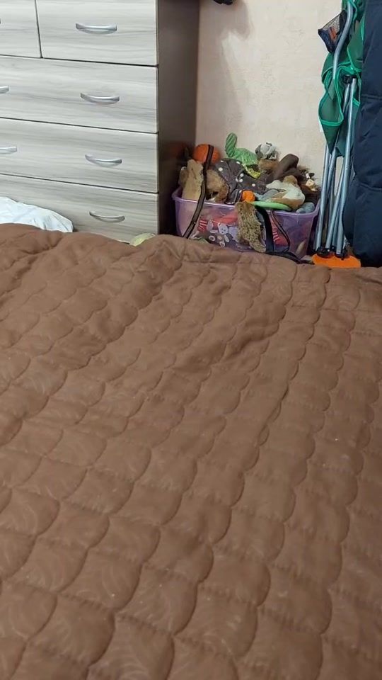 TikTok video thumbnail by trueblood70
