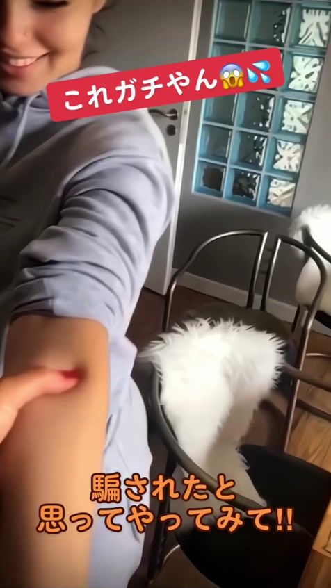 TikTok video thumbnail by pipipipi0613