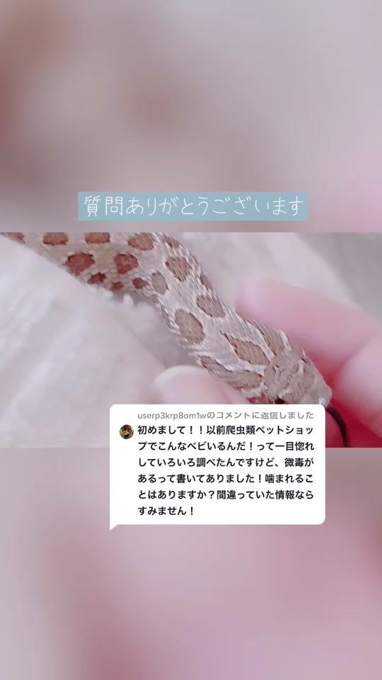 TikTok video thumbnail by bouyakun