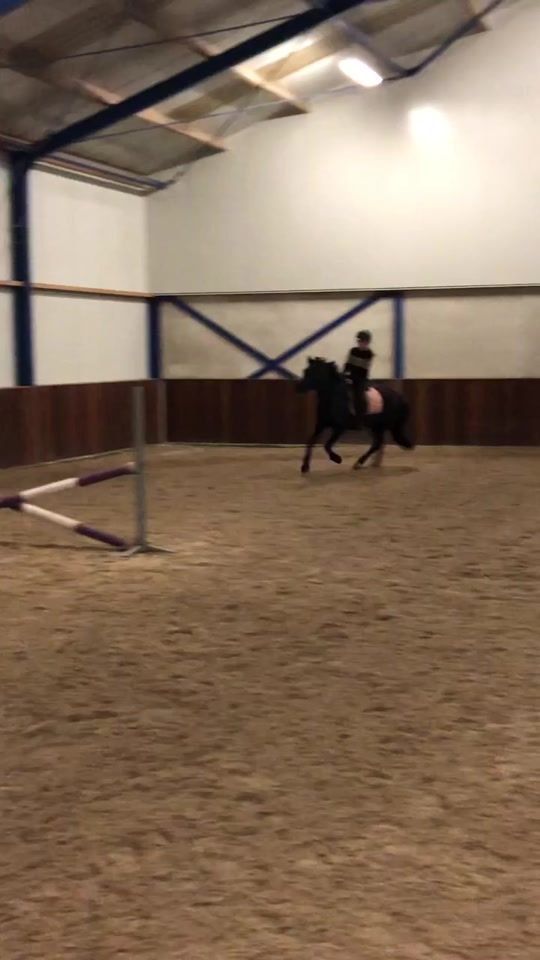 TikTok video thumbnail by ponysquads_