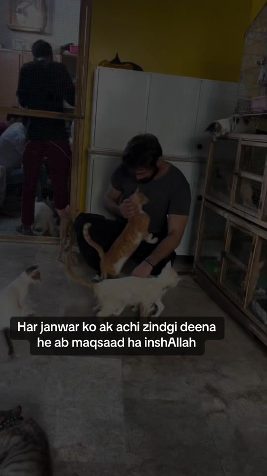 TikTok video thumbnail by sohkhan1