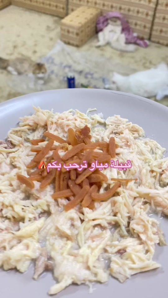 TikTok video thumbnail by howida_8