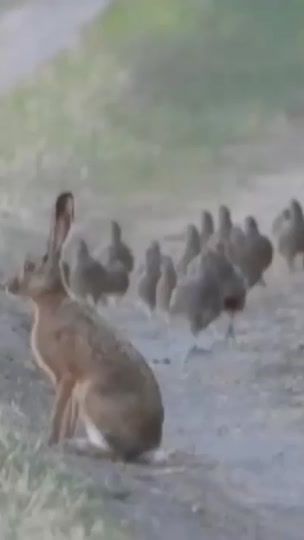 TikTok video thumbnail by _hunter_00