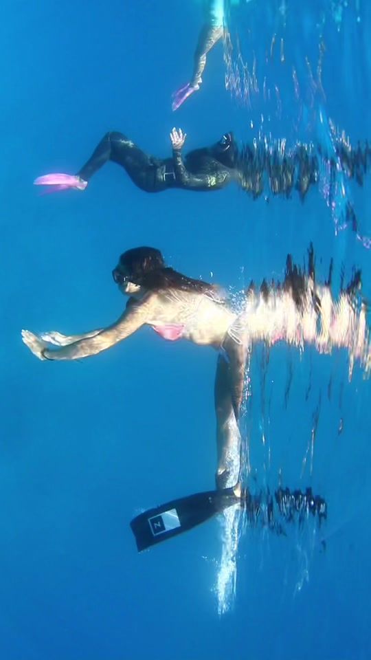 TikTok video thumbnail by pamsaghbini