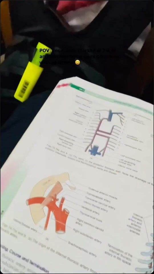 TikTok video thumbnail by tazrish_