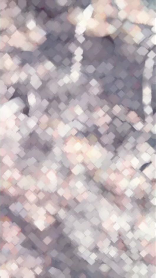 TikTok video thumbnail by wallalui