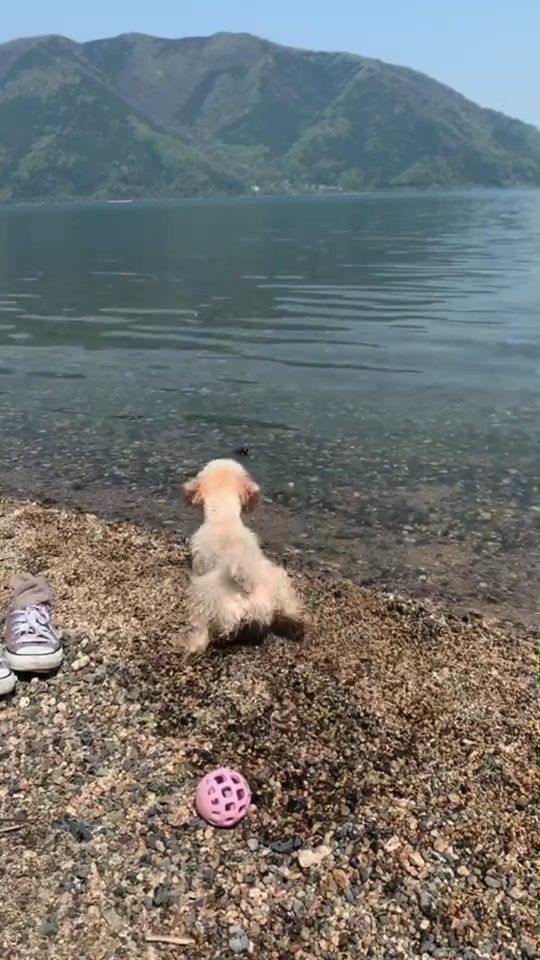 TikTok video thumbnail by teru08070