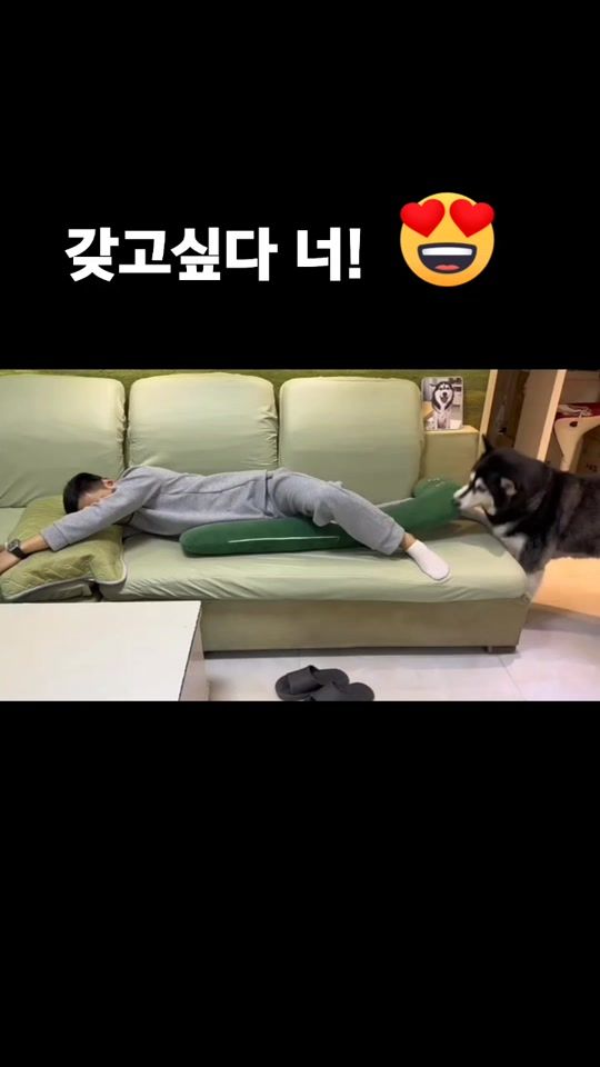 TikTok video thumbnail by kjh02155