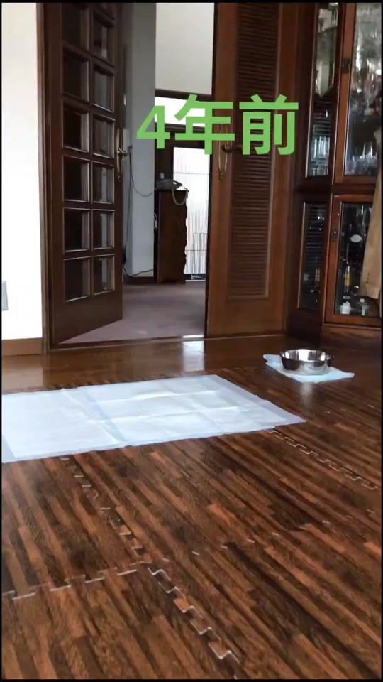 TikTok video thumbnail by ahtlsam