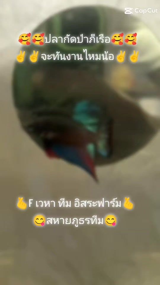 TikTok video thumbnail by .029159