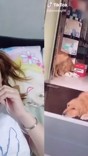TikTok video thumbnail by an_tigas06
