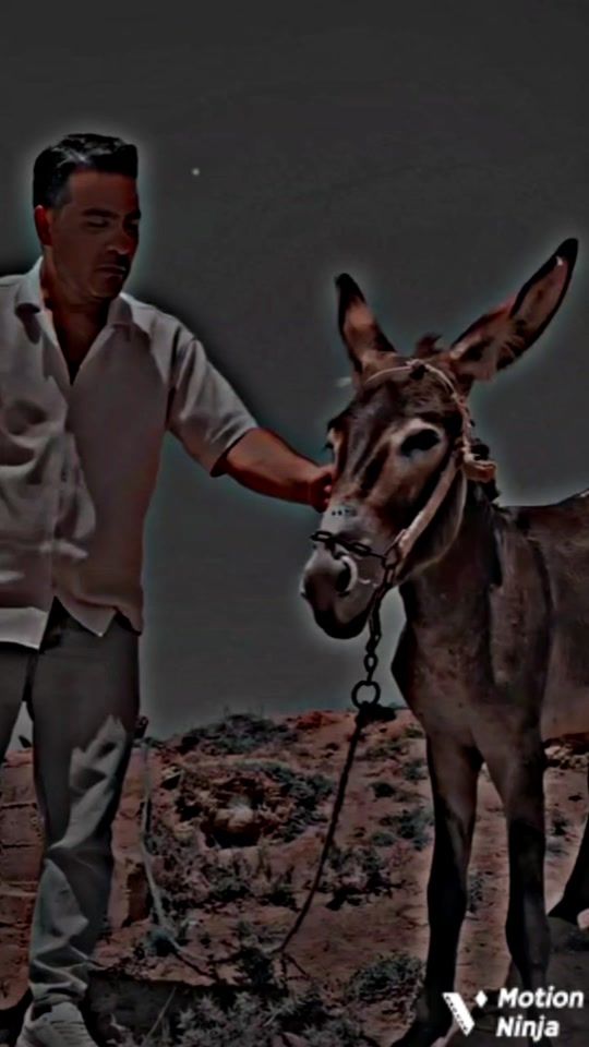 TikTok video thumbnail by king.______parwan
