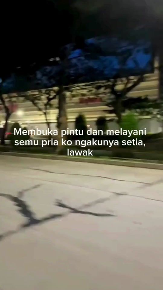 TikTok video thumbnail by antiskena88