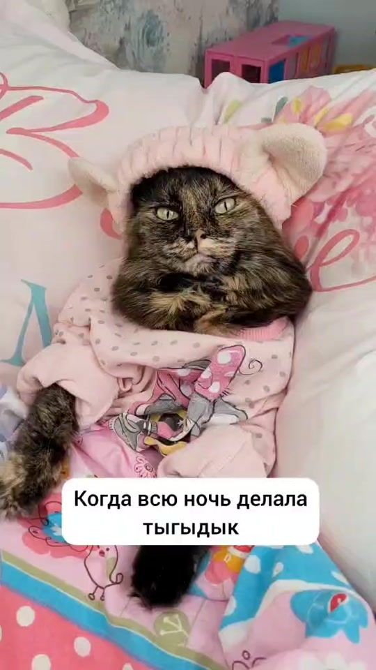 TikTok video thumbnail by luchy_nika