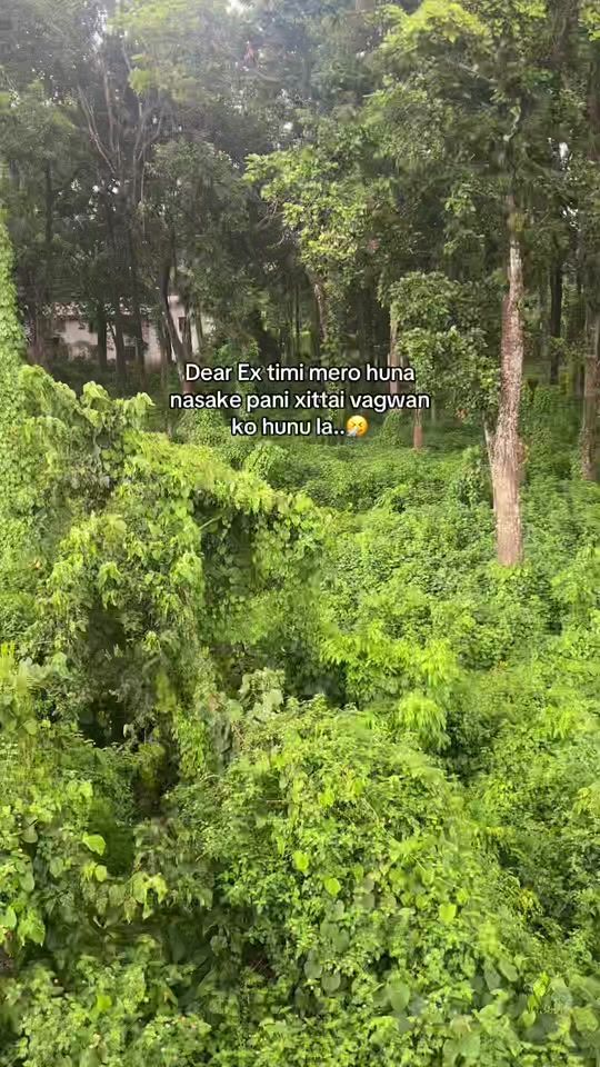 TikTok video thumbnail by lifetime1430