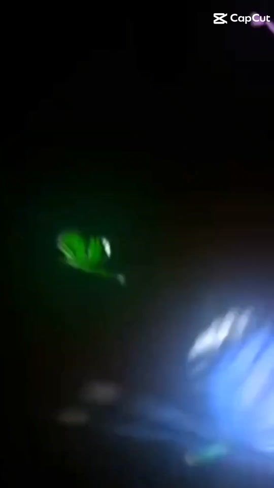 TikTok video thumbnail by mgyegyi201