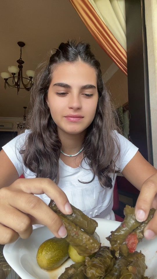 TikTok video thumbnail by joy_abousaleh
